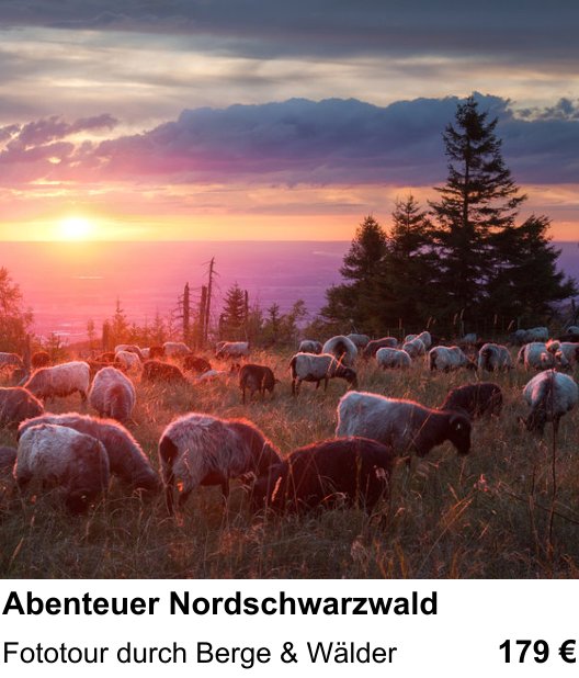 Kreativer Fotoworkshop: Abenteuer Nordschwarzwald – Fototour durch Berge & Wälder
