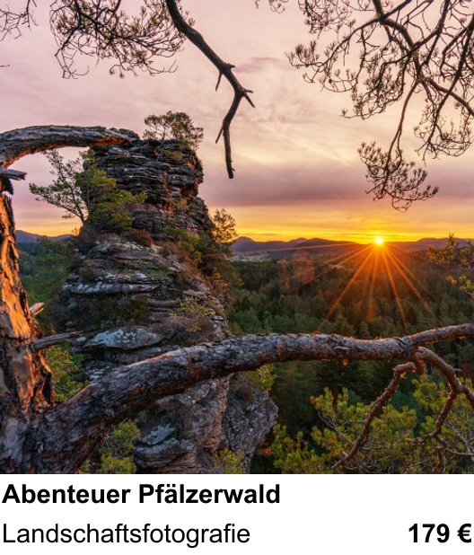 Kreativer Fotoworkshop: Abenteuer Pfälzerwald – Landschaftsfotografie