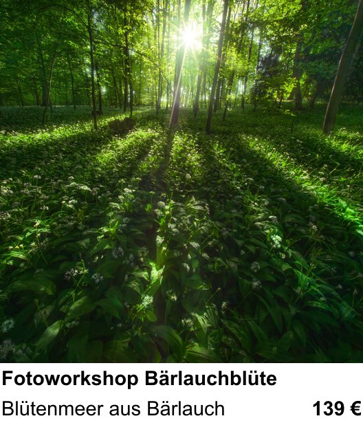 Kreativer Fotoworkshop: Fotoworkshop Bärlauchblüte – Blütenmeer aus Bärlauch