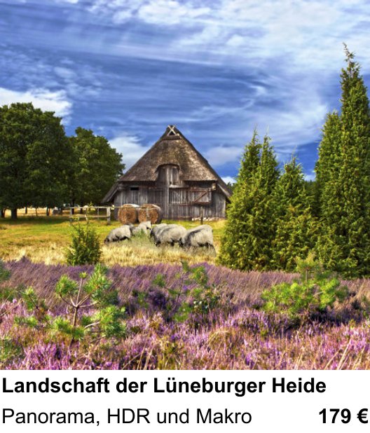 Kreativer Fotoworkshop: Landschaft der Lüneburger Heide – Panorama, HDR und Makro
