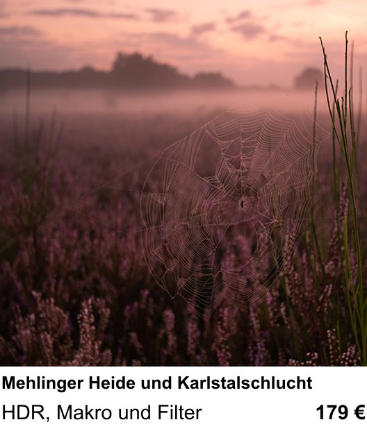 Kreativer Fotoworkshop: Mehlinger Heide und Karlstalschlucht – HDR, Makro und Filter