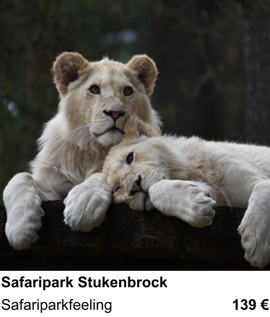 Kreativer Fotoworkshop: Safaripark Stukenbrock – Safariparkfeeling