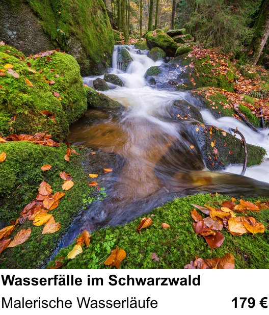 Kreativer Fotoworkshop: Wasserfälle im Schwarzwald – Malerische Wasserläufe