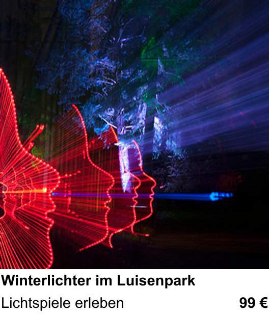 Kreativer Fotoworkshop: Winterlichter im Luisenpark – Lichtspiele erleben