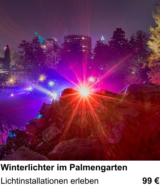 Kreativer Fotoworkshop: Winterlichter im Palmengarten – Lichtinstallationen erleben